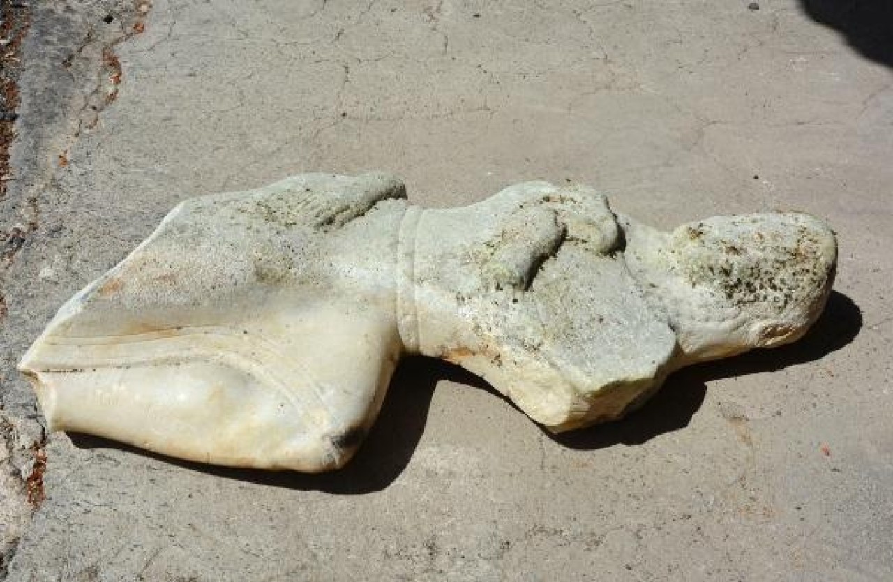 Deniz dibinden tarih çıktı 1