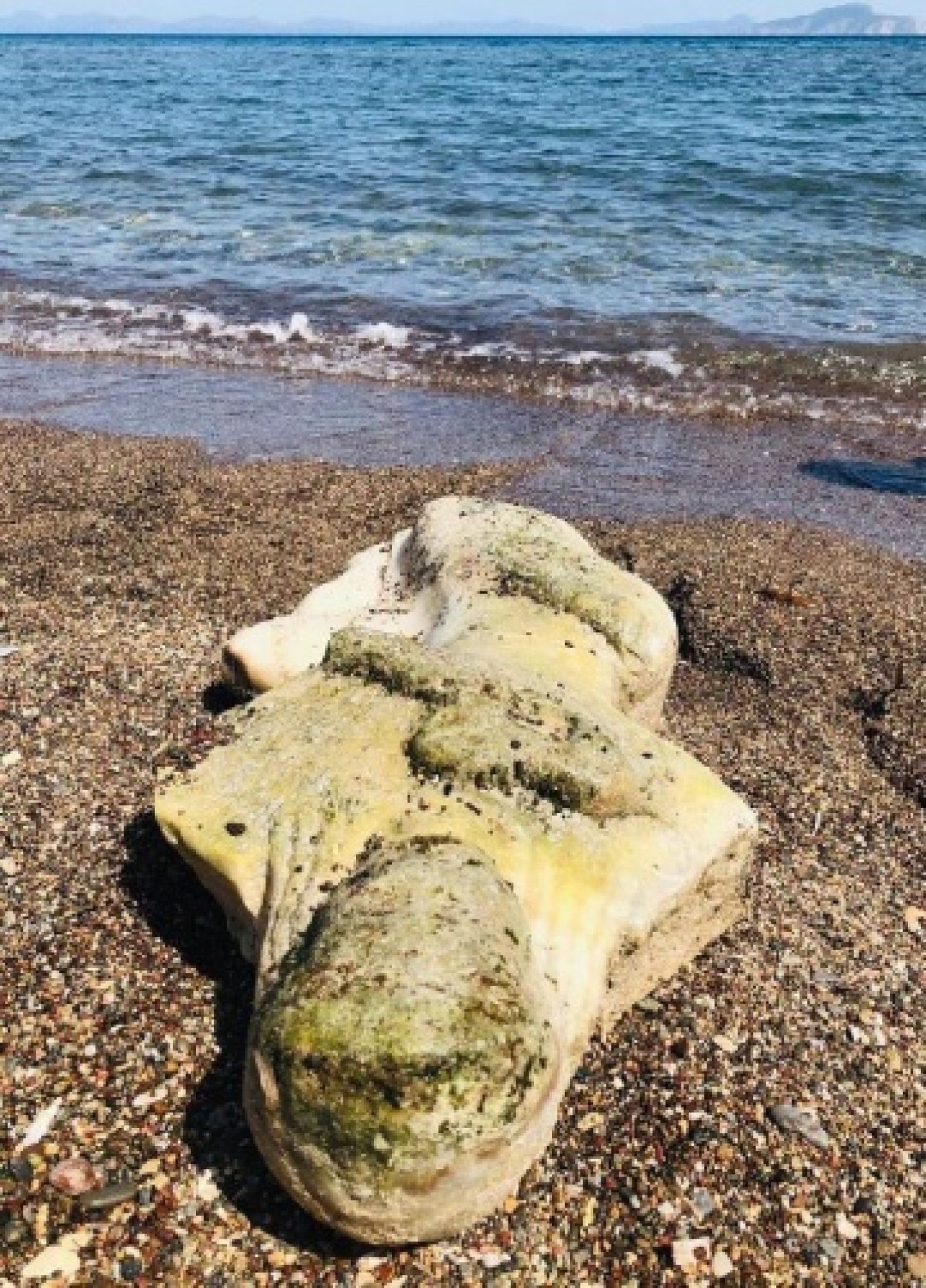 Deniz dibinden tarih çıktı 5