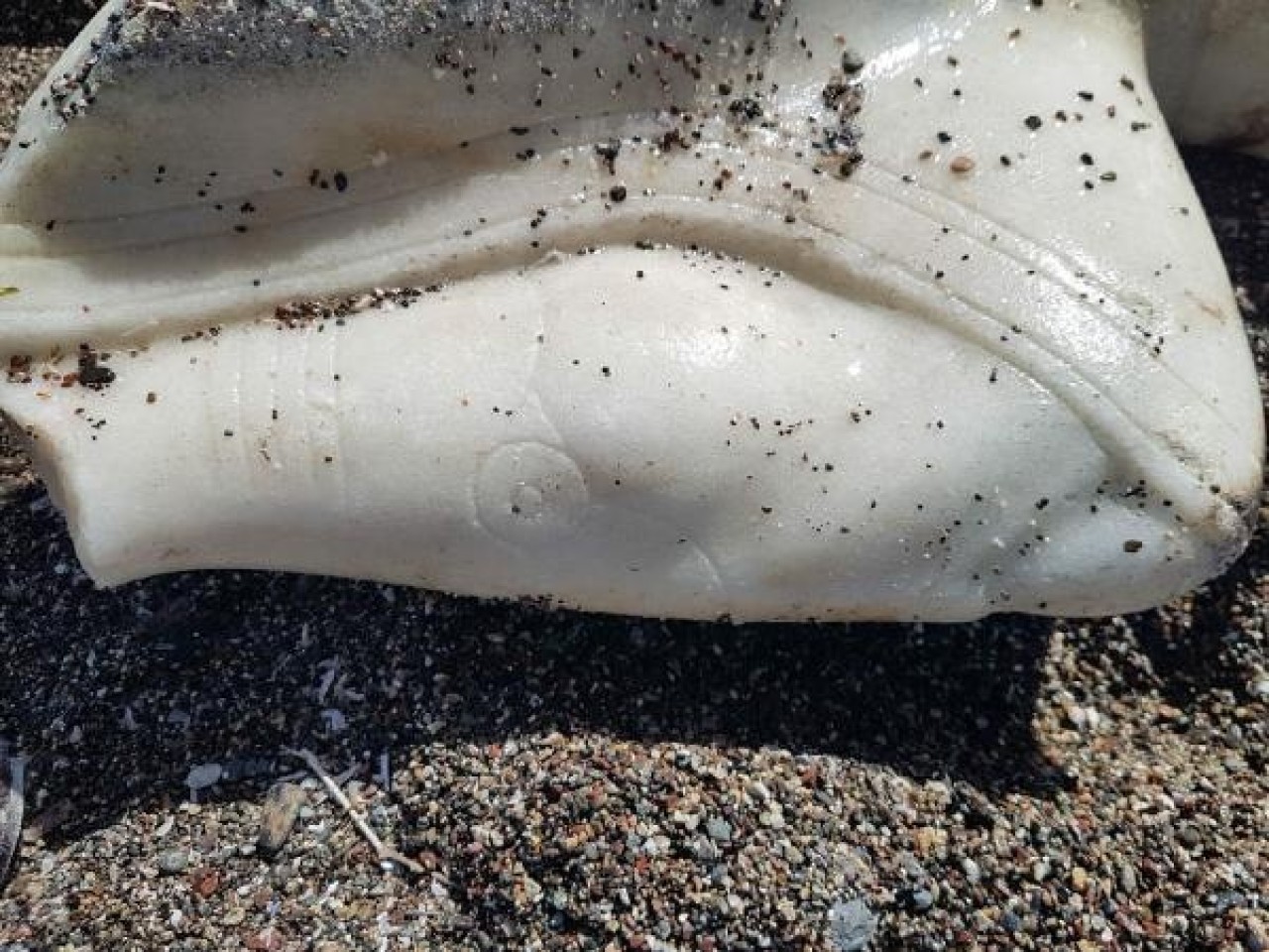 Deniz dibinden tarih çıktı 3