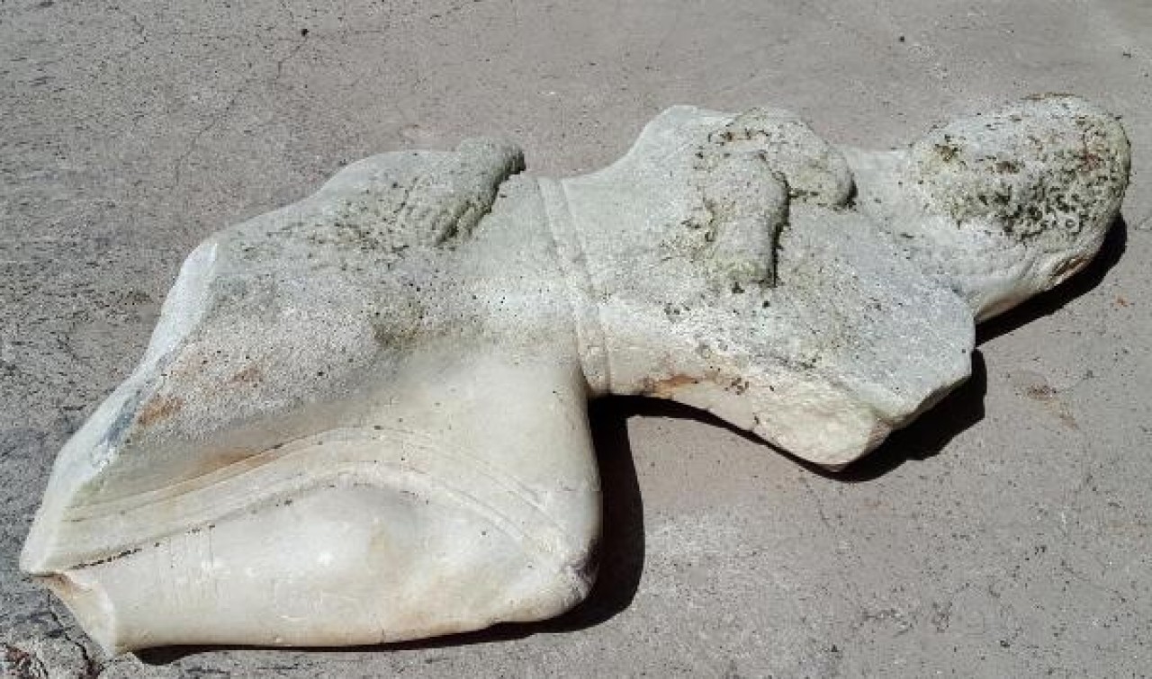 Deniz dibinden tarih çıktı 4