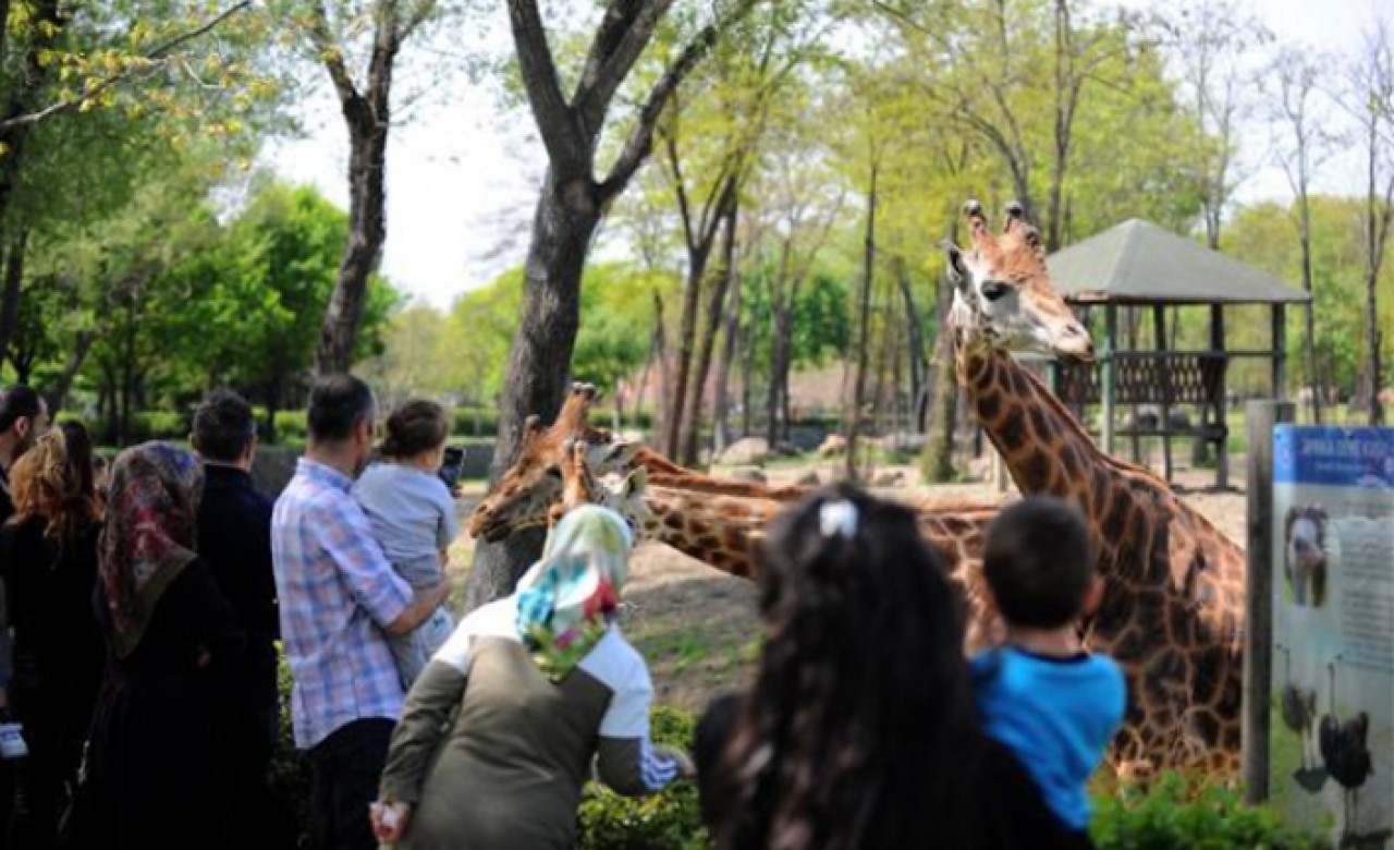 Hayvanat bahçesine ziyaretçi akını