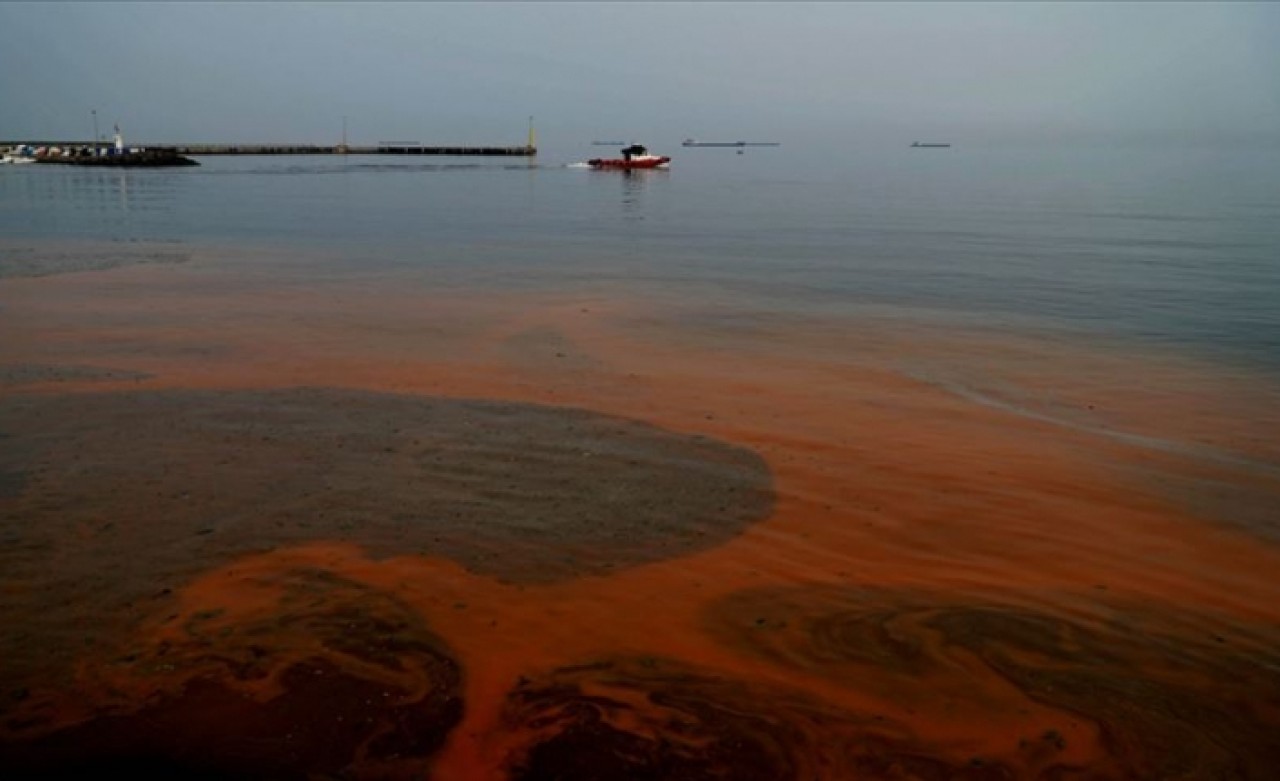 Marmara Denizi'nin rengi değişti