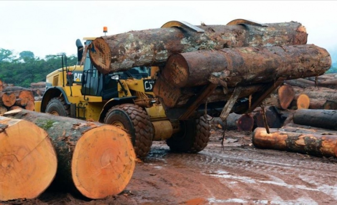 Mobilya,  kağıt ve orman ürünleri ihracatında hedef 6 milyar dolar