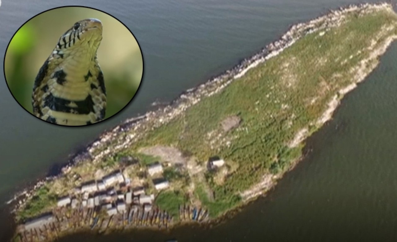 Sadece erkekler ve yılanların yaşadığı ada: Musambwa Adası