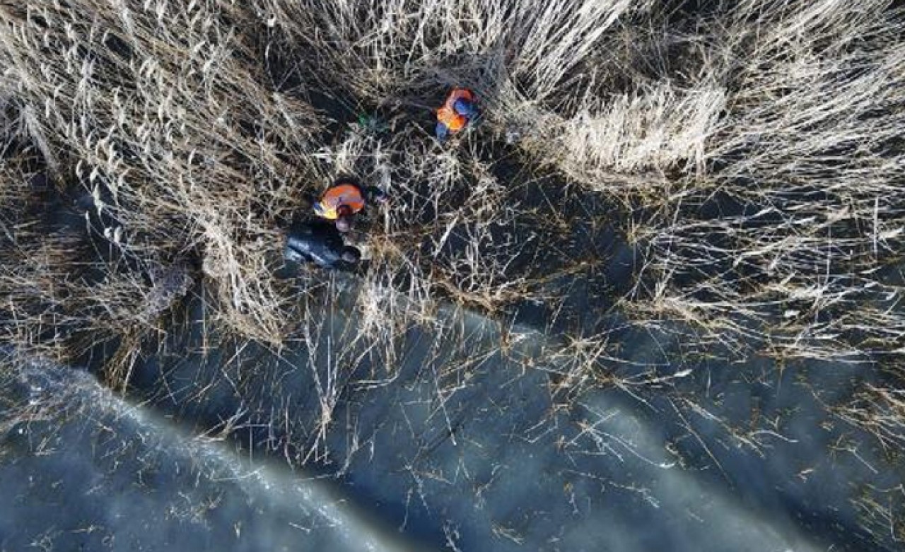 Van Gölü'nde inci kefali için drone ile denetim