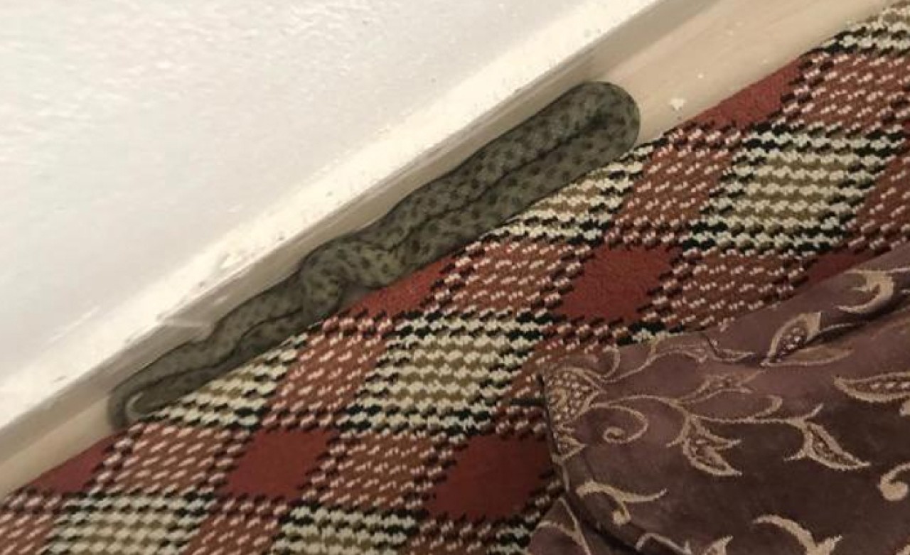 3 yaşındaki çocuğun ağlama sesiyle odaya girdiklerinde...