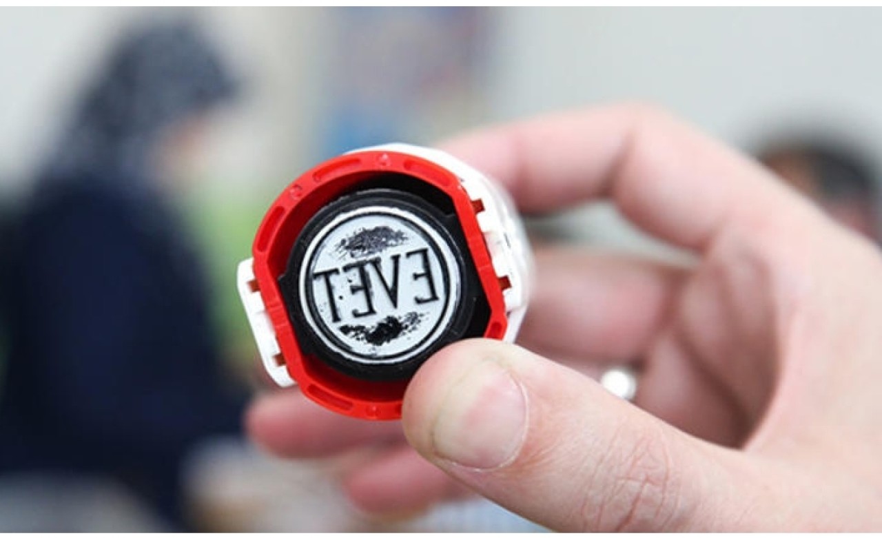 Avrupa’dan seçimleri izleme talebi