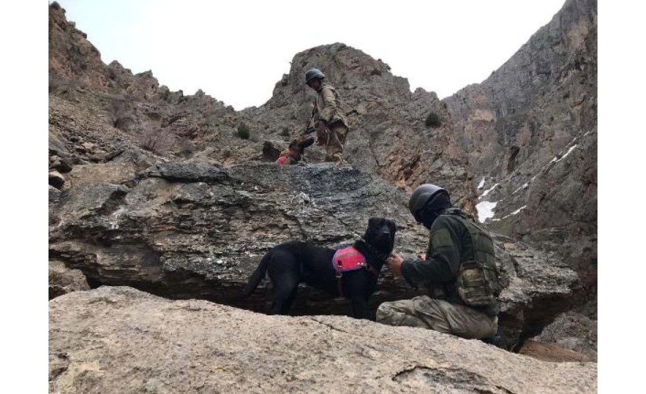 Başkale'de PKK'nın tuzakladığı EYP,  bulunarak imha edildi