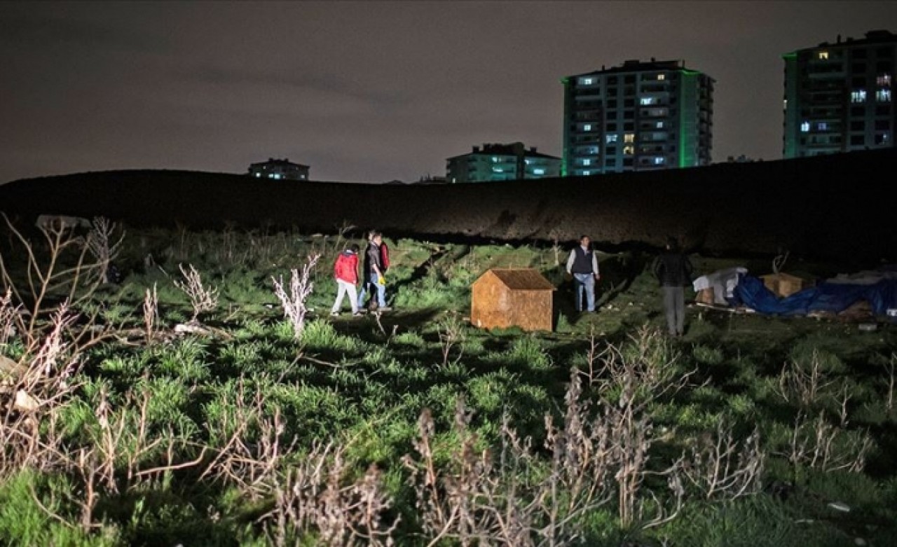 Batıkent'te köpeklerin öldürülmesine ilişkin dava açıldı