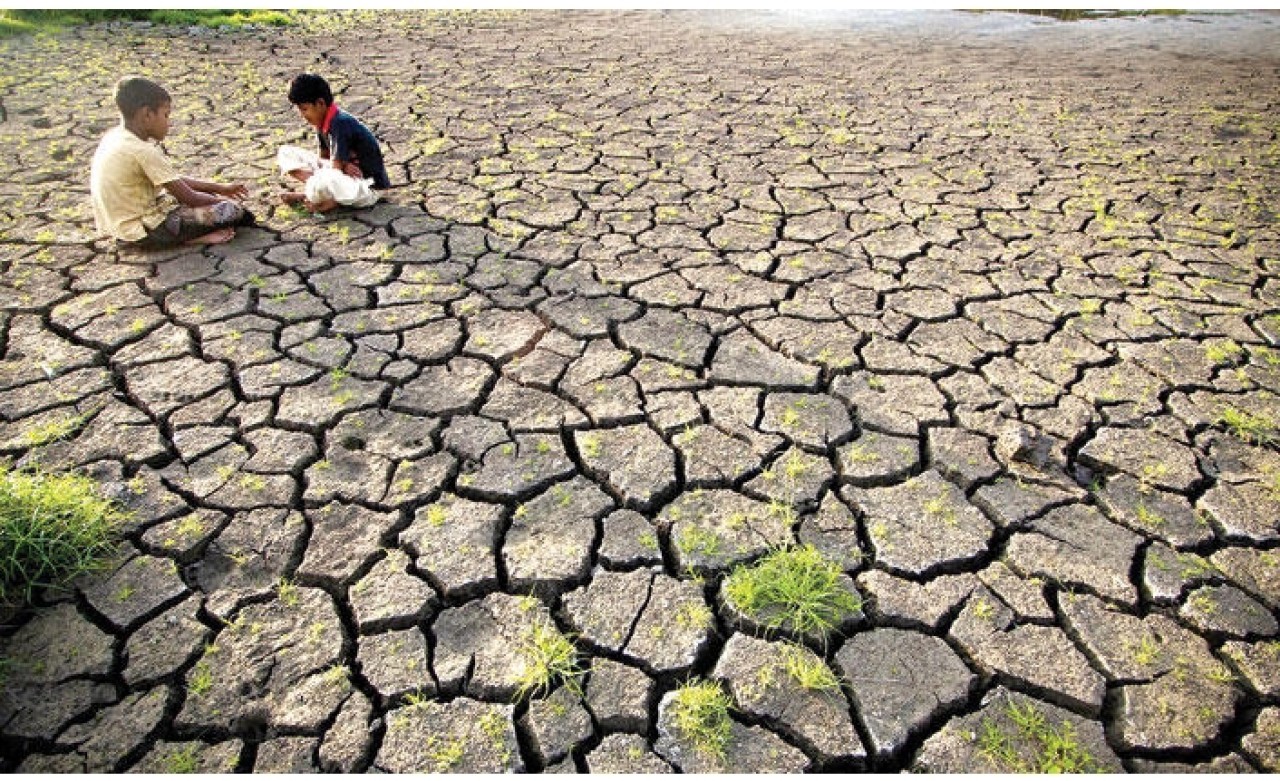 Bir milyon tür yok olacak