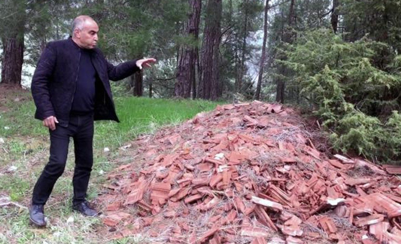 Çam ormanları moloz ve atıklara teslim