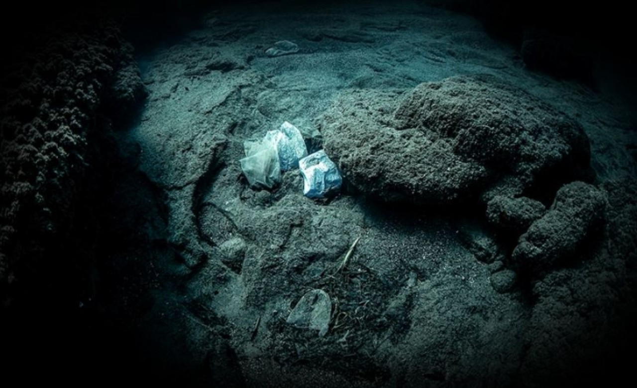 Dünya'nın en derin noktasından plastik atık çıktı