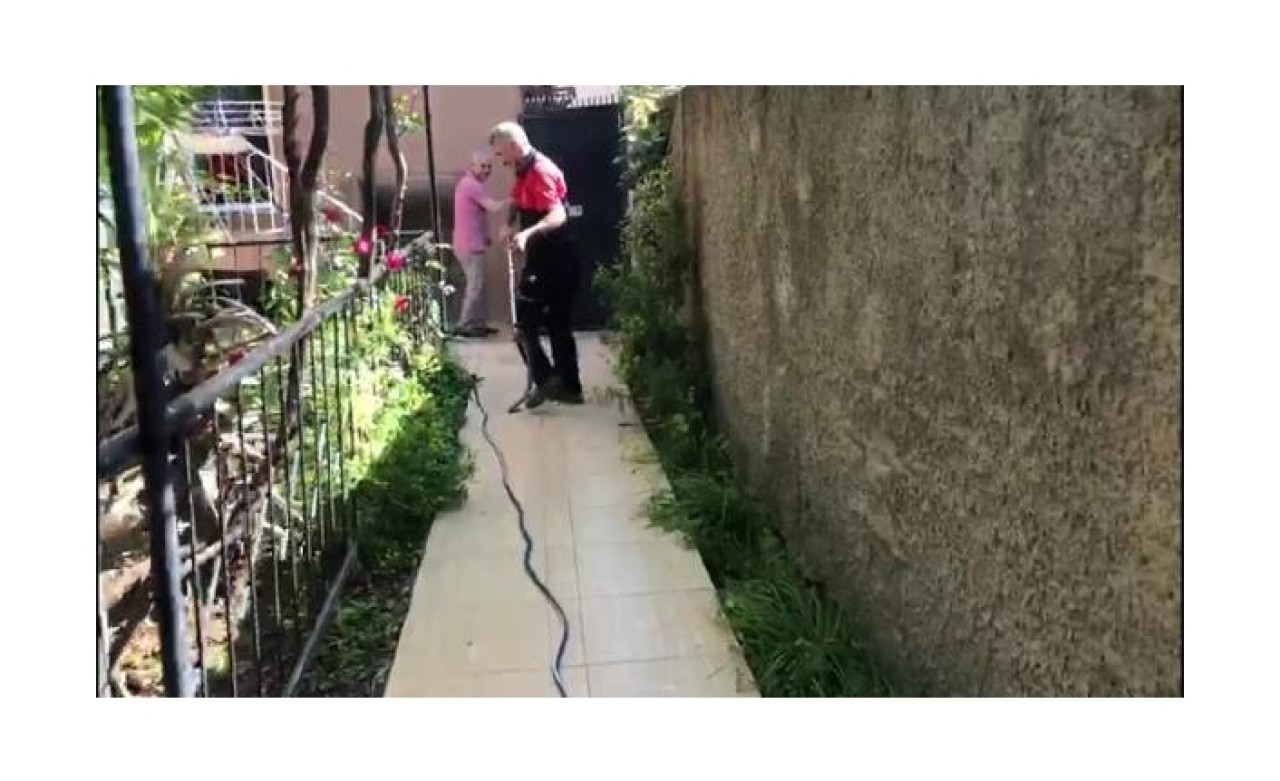 Evin bahçesine giren yılan korkuttu