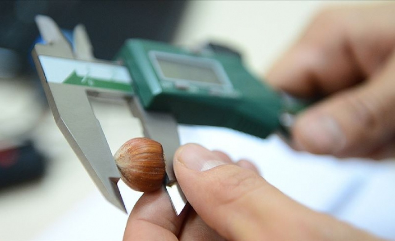 440 genotip tespit edildi