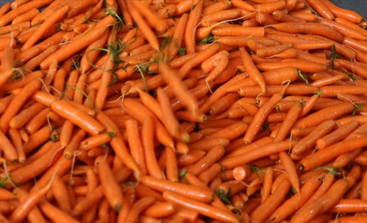 Fiyatı rekor kırdı