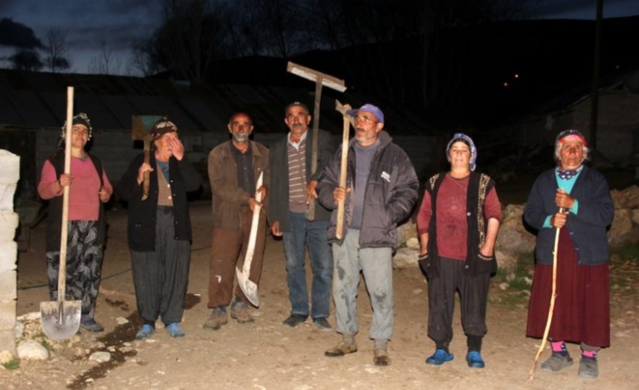 Gördükleri manzara karşısında şaşkına döndüler! Sırayla nöbet tutmaya başladılar
