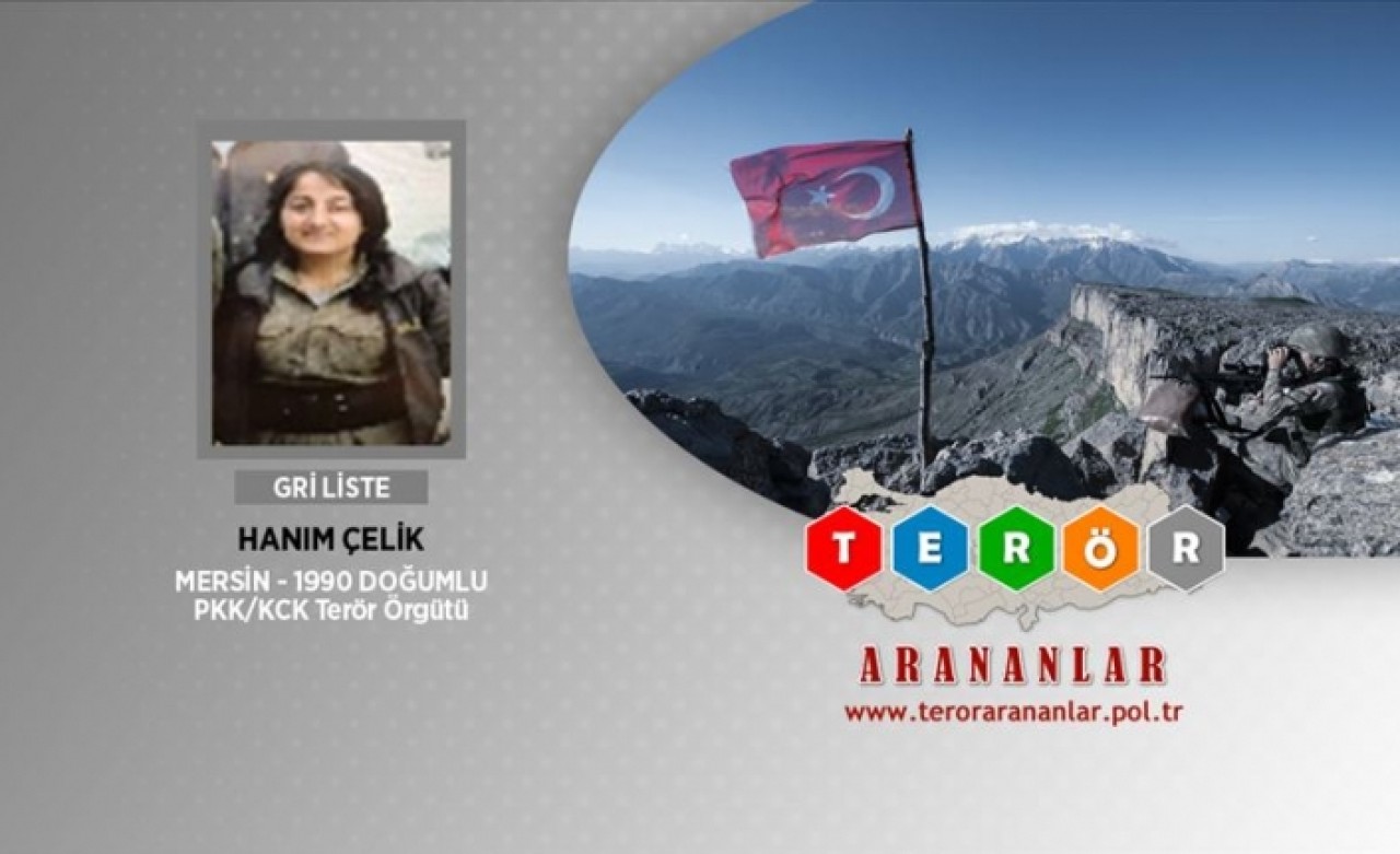 Gri kategorideki terörist etkisiz hale getirildi