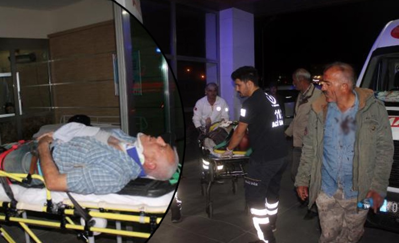 Hırsız ve koyun sahipleri arasında kavga: Çok sayıda yaralı