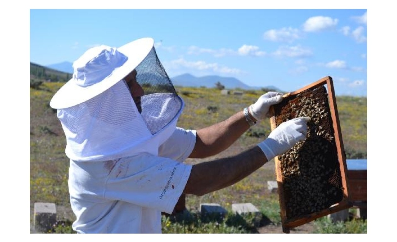 Hobi olarak başladığı arıcılık,  mesleği oldu