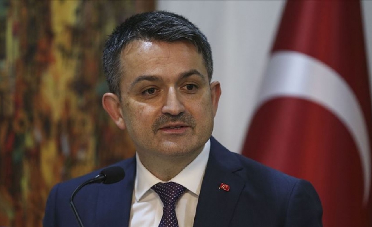 'Kadınların kooperatif çatısı altında bir araya gelmesi çok önemli'