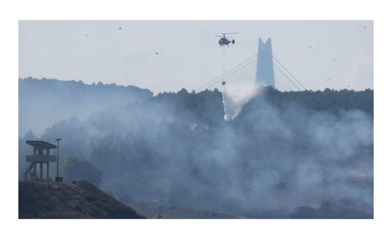 Kavacık'ta orman yangını