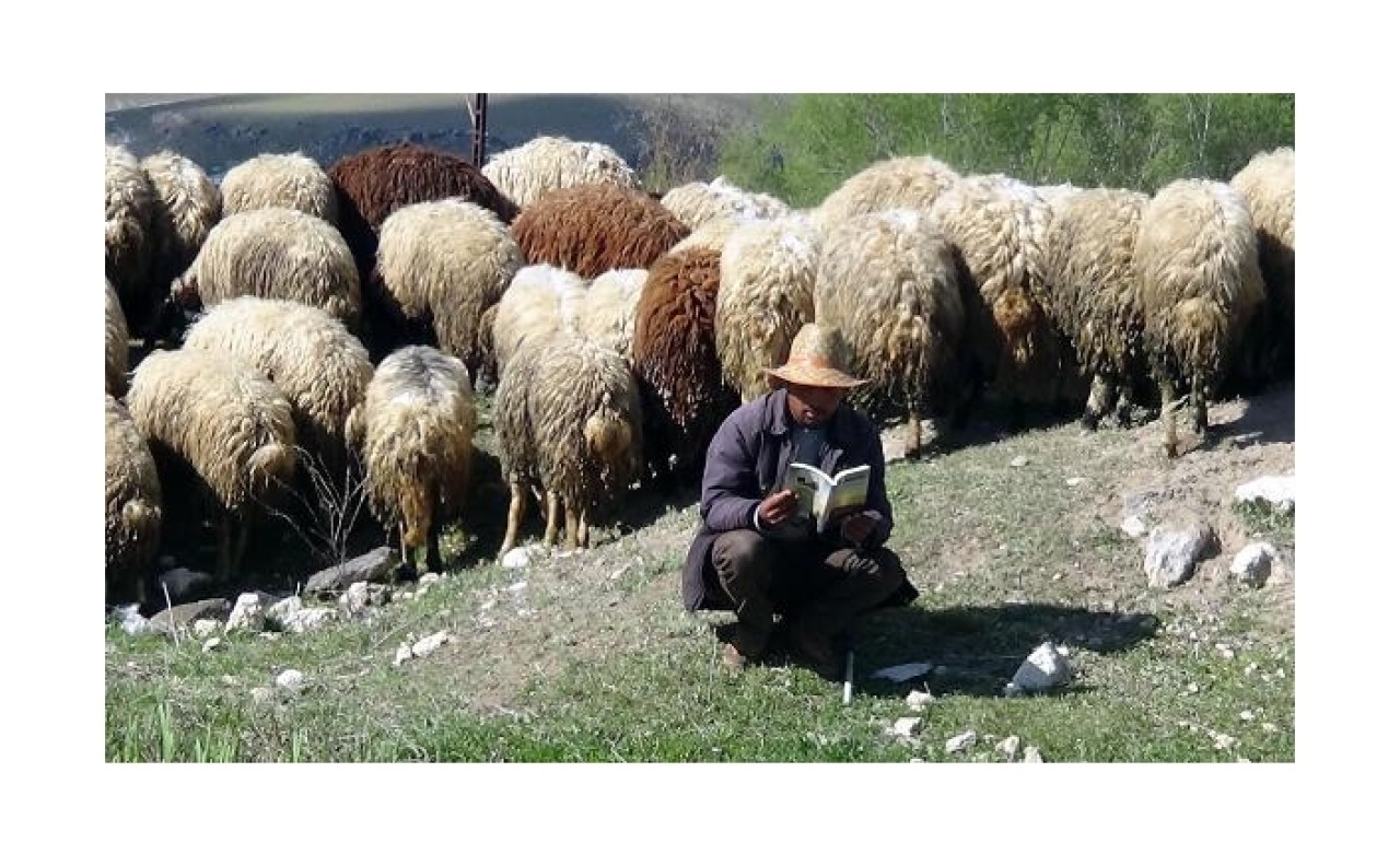 Kırgız çoban günde bir kitap bitiriyor