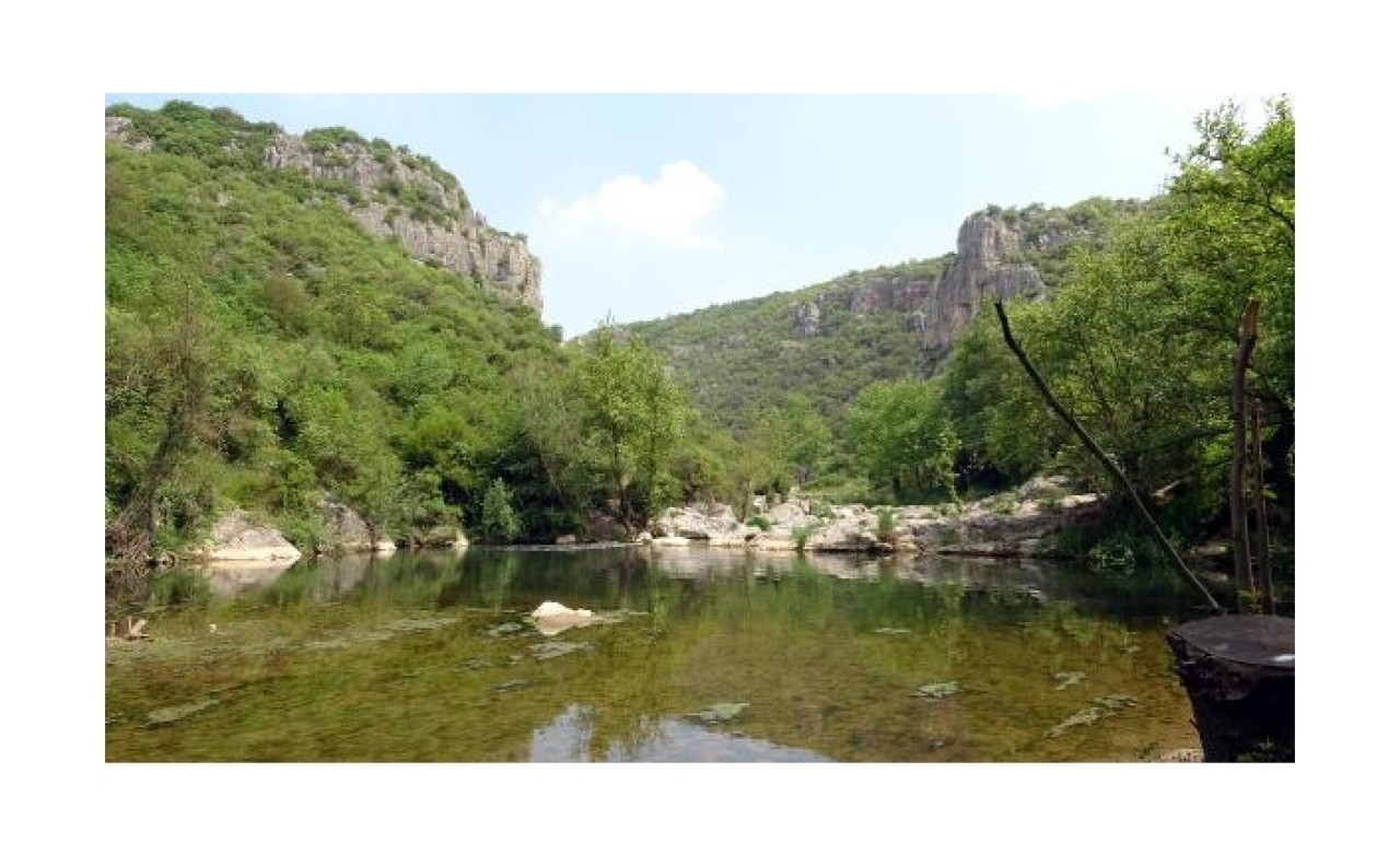 Kuzey Marmara Otoyolu'nun geçeceği tabiat parkında 17 bin ağaç kesilecek