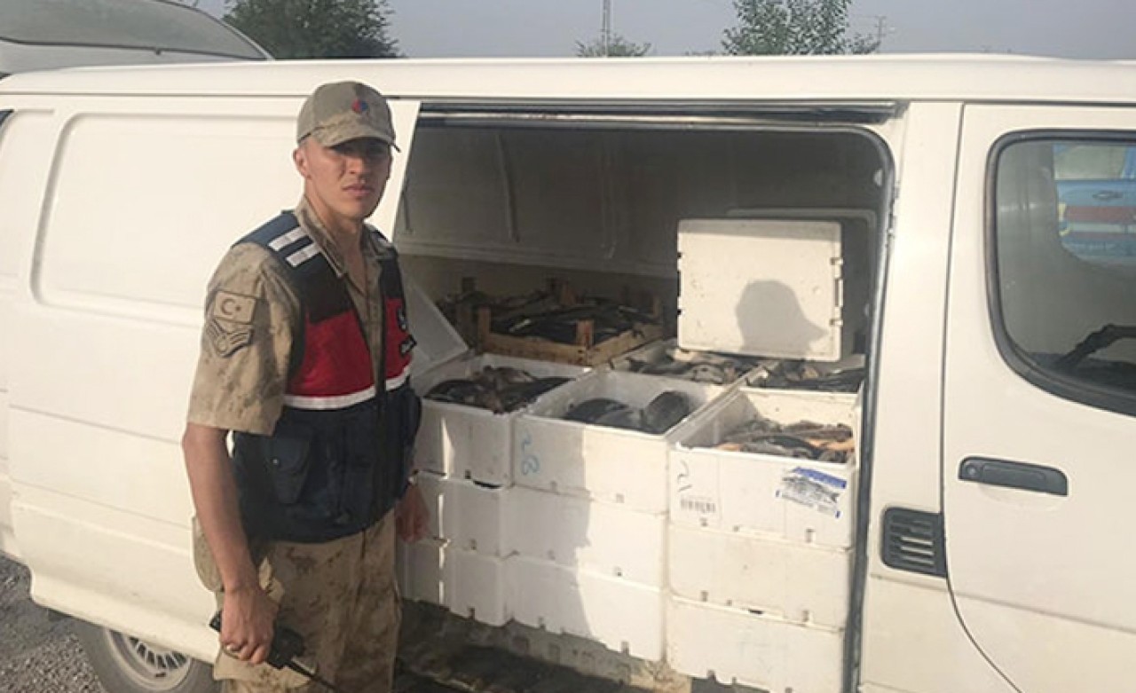 Minibüste ele geçirildi: 1 ton 200 kilo