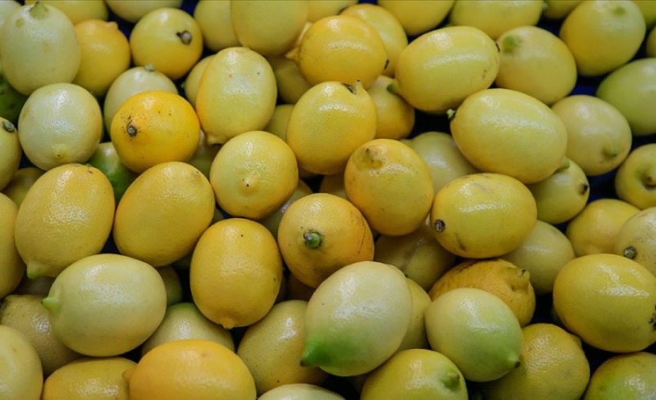 Nisan ayının zam şampiyonu limon
