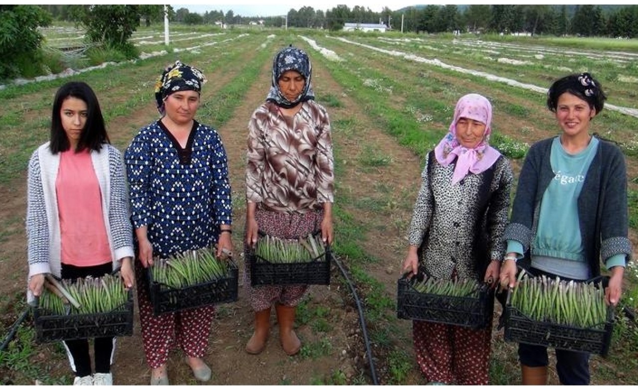 ODTÜ mezunu kariyerini bıraktı! Şimdi talebe yetişemiyor...