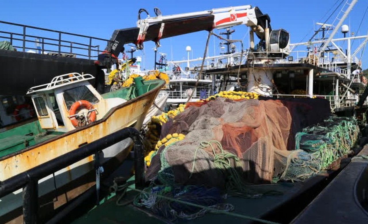 Orkinos avına 'olumsuz hava' molası