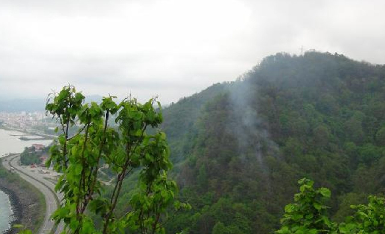 Orman yangını,  15.5 saat sonra kendiliğinden söndü