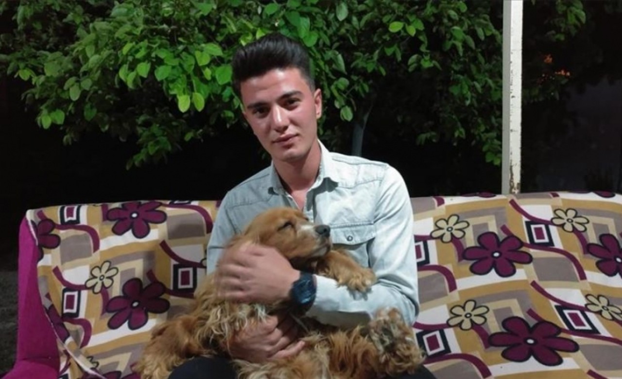 Otomobilin çarptığı köpeğini kalp masajı ile hayata döndürdü