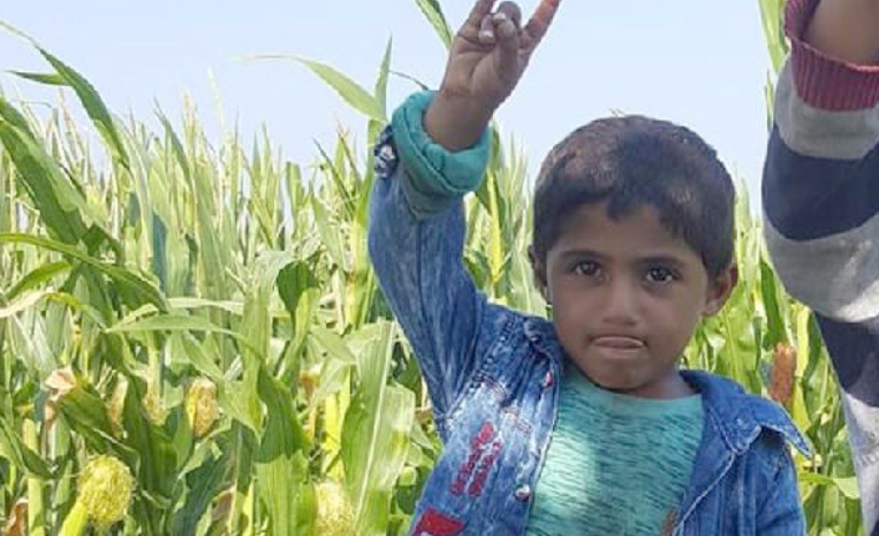 Oynarken foseptiğe düşen 5 yaşındaki Mehmet hayatını kaybetti