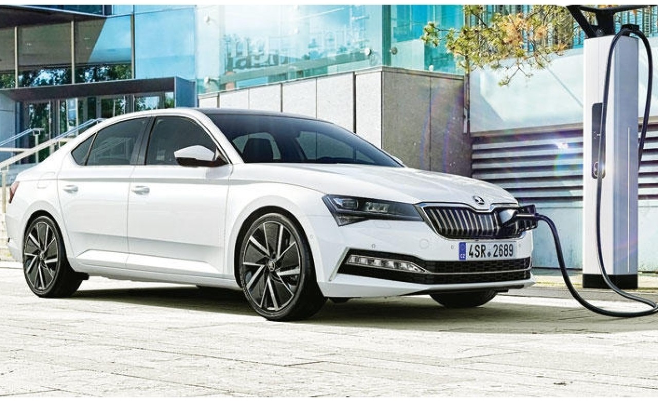 ‘Superb’ melez 2021’de Türkiye’de