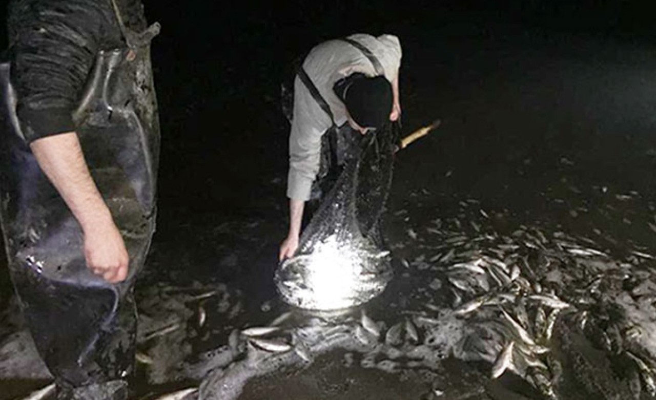 Tam 550 metre! Büyük bir kıyımın önüne geçildi