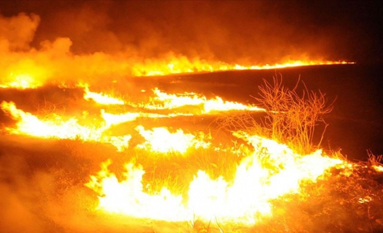 Terör örgütü YPG/PKK Tel Rıfat'ta sivillerin arazilerini yaktı