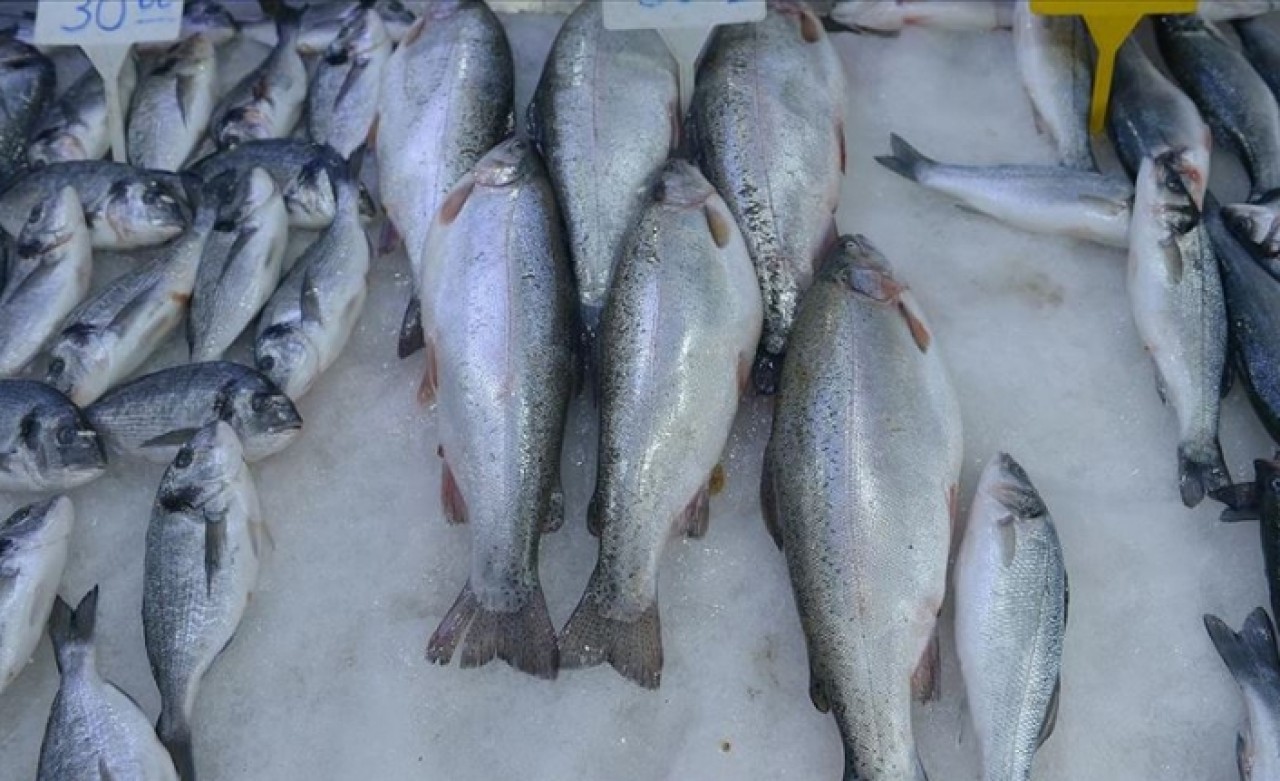 Tezgahlar onlara kaldı