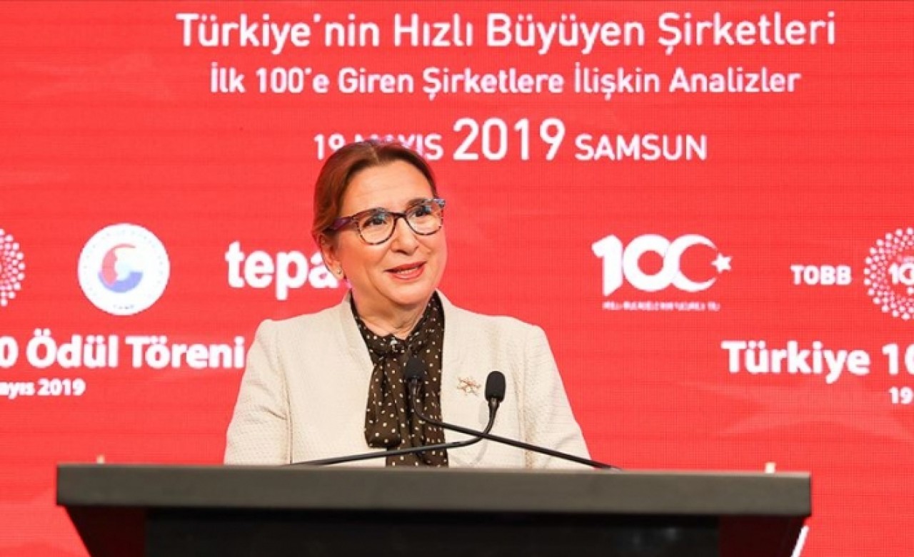 Bakan Pekcan: 3 milyar TL civarında destek vereceğiz