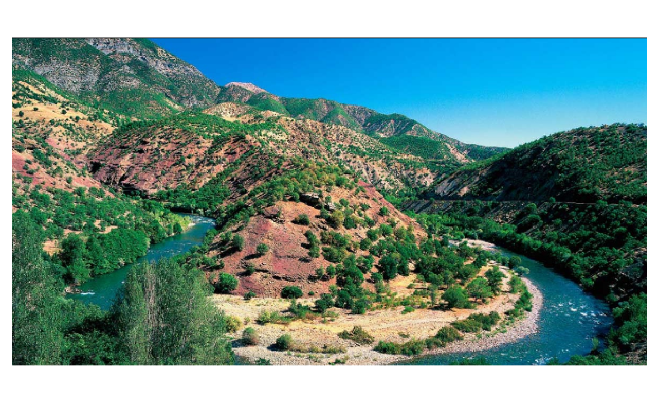 Tunceli Belediye Meclisi'nin 'Dersim' kararına soruşurma