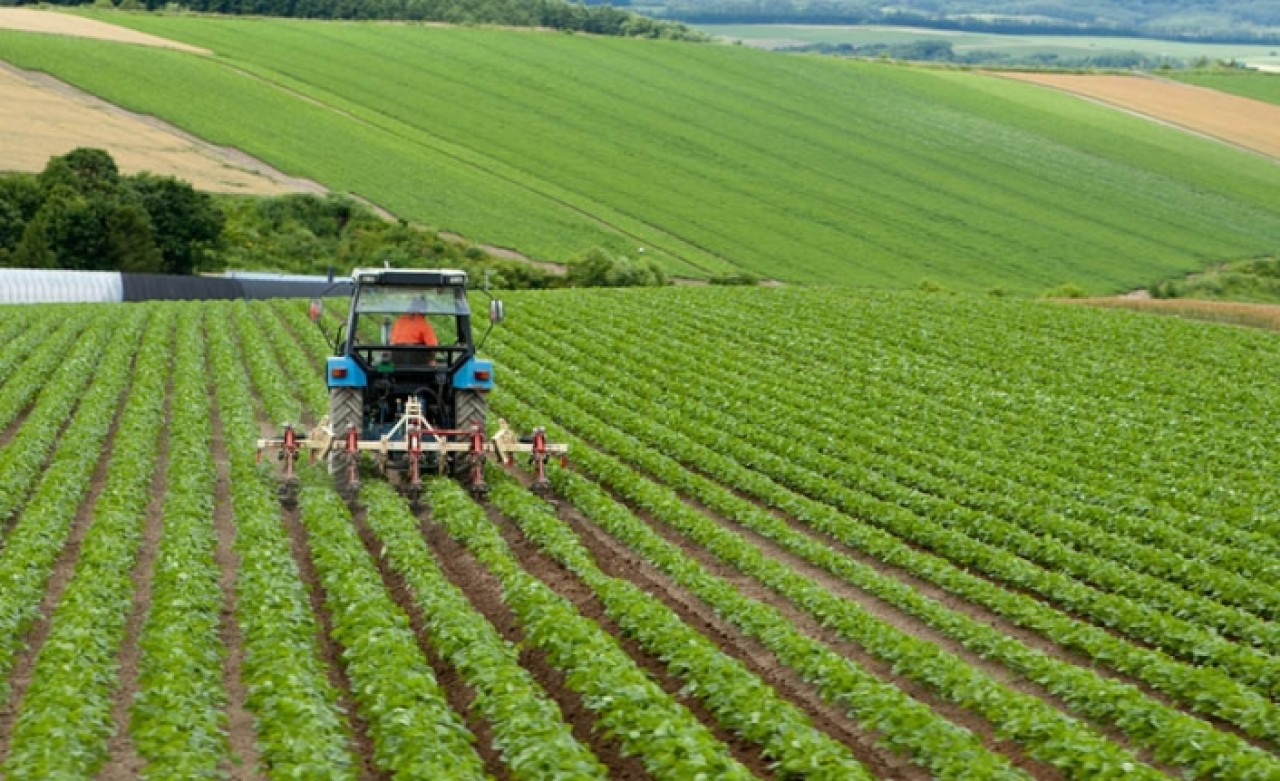 'Türkiye tarım açısından çok güçlü,  zengin bir ülke'