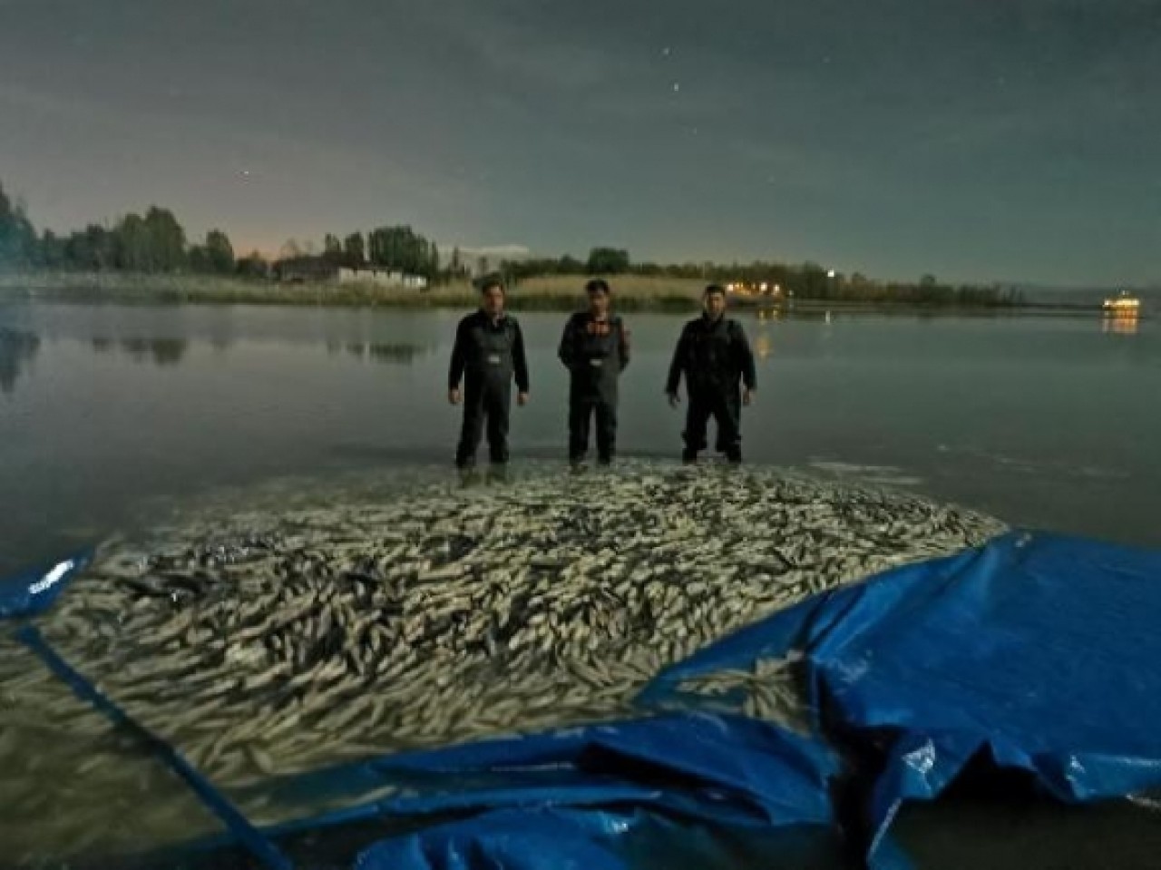 Van'da 3 ton kaçak avlanmış balık ele geçirildi