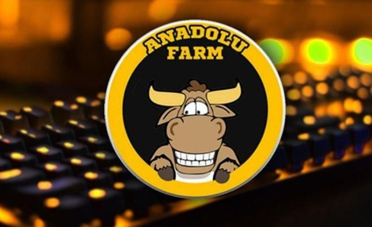 Yatırılan paralarla bakın neler almışlar!