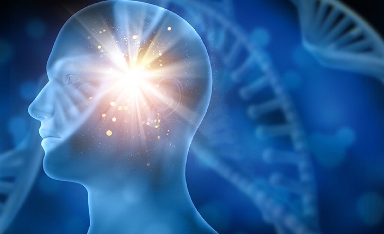 Yaşam boyunca yeni hücreler üretebiliyor