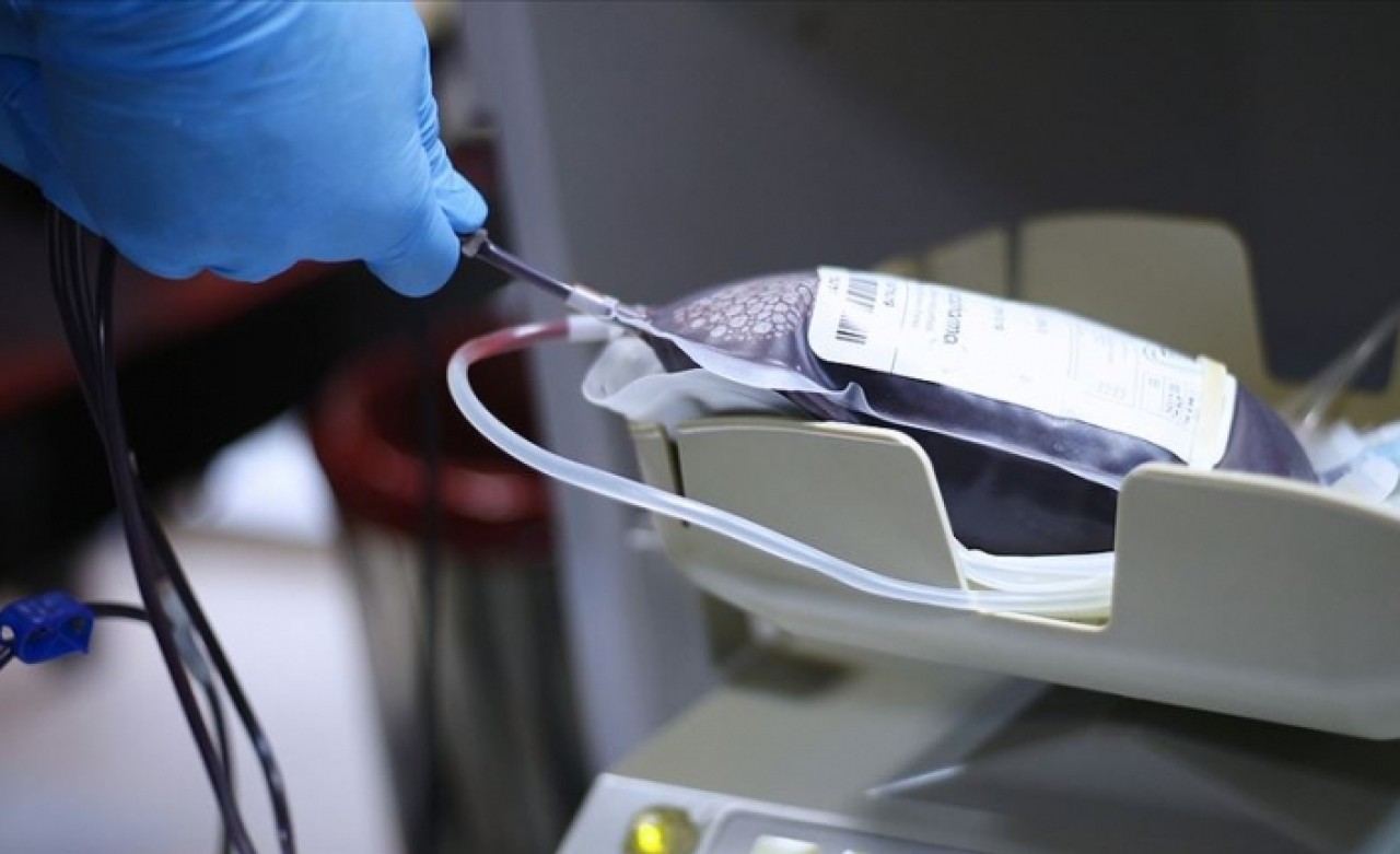 6 ayda 1 milyon 246 bin 349 ünite kan bağışlandı