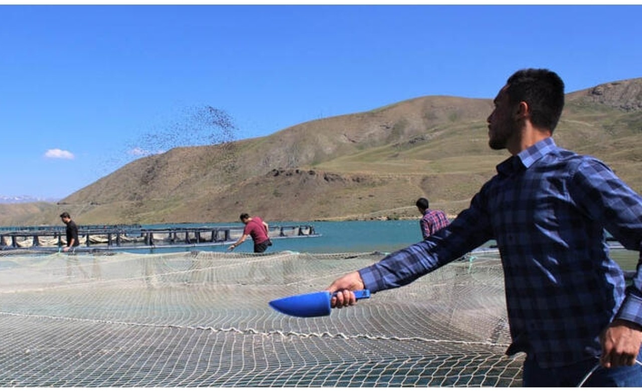 Avrupa standardında Van'da üretiliyor! Çevre illere gönderiliyor