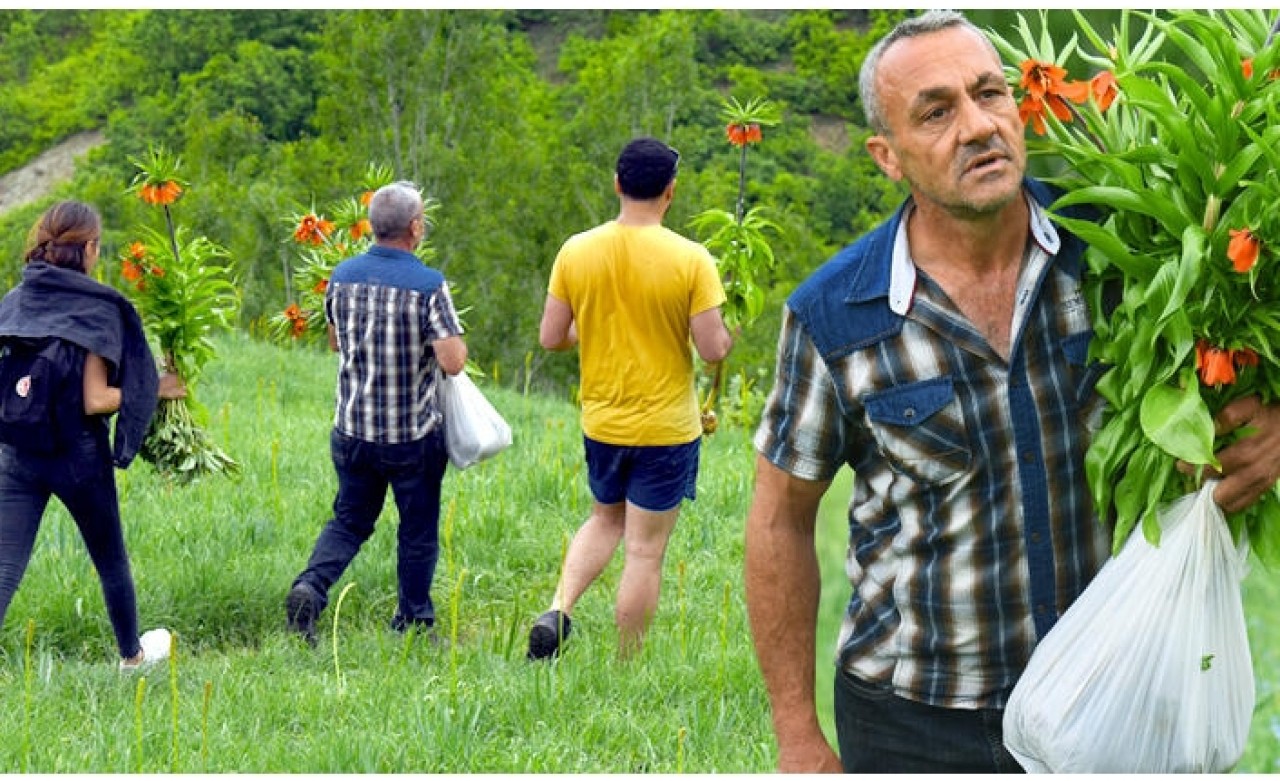 Böyle görüntülendiler! Cezası 60 bin lira ama...