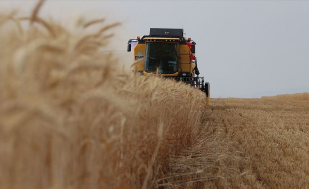 Buğdaydan 10 yılda 10 milyar dolarlık katma değer