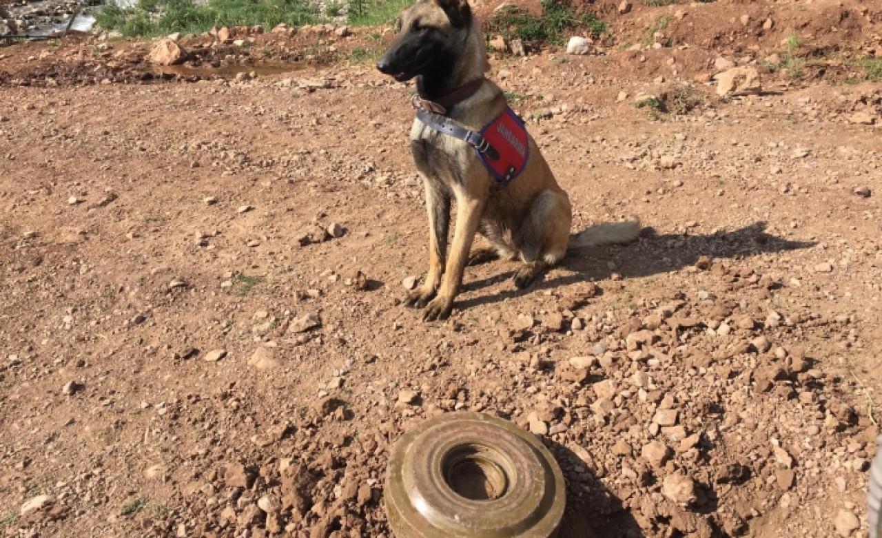 Etkisiz hale getirilen teröristler yola patlayıcı tuzaklamış