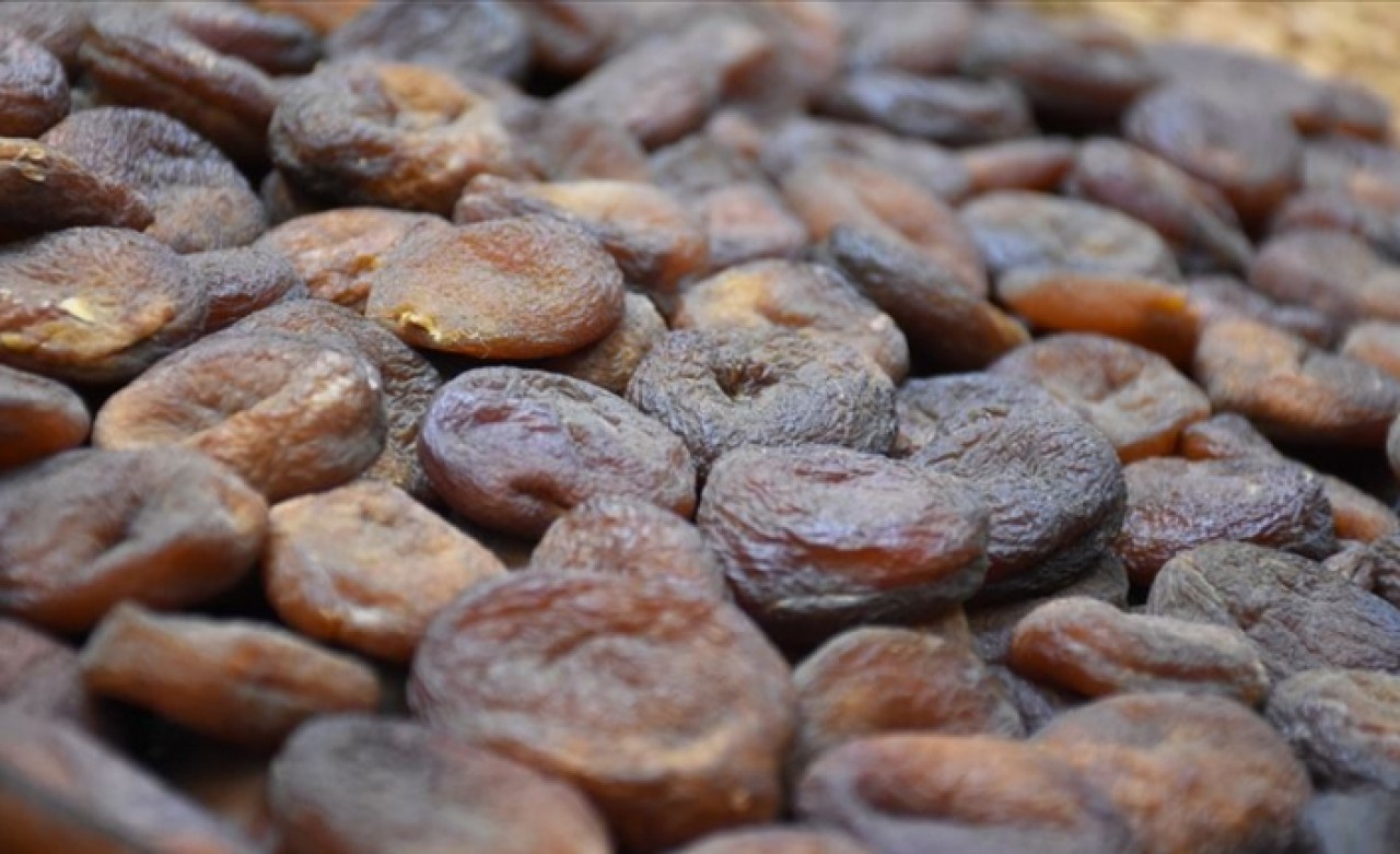 Gün kurusu kayısı deney hayvanlarının kırmızı kan hücrelerini artırdı